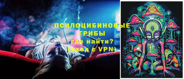 прущая мука Верея