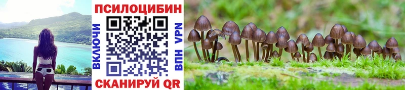 Галлюциногенные грибы ЛСД  Северобайкальск 